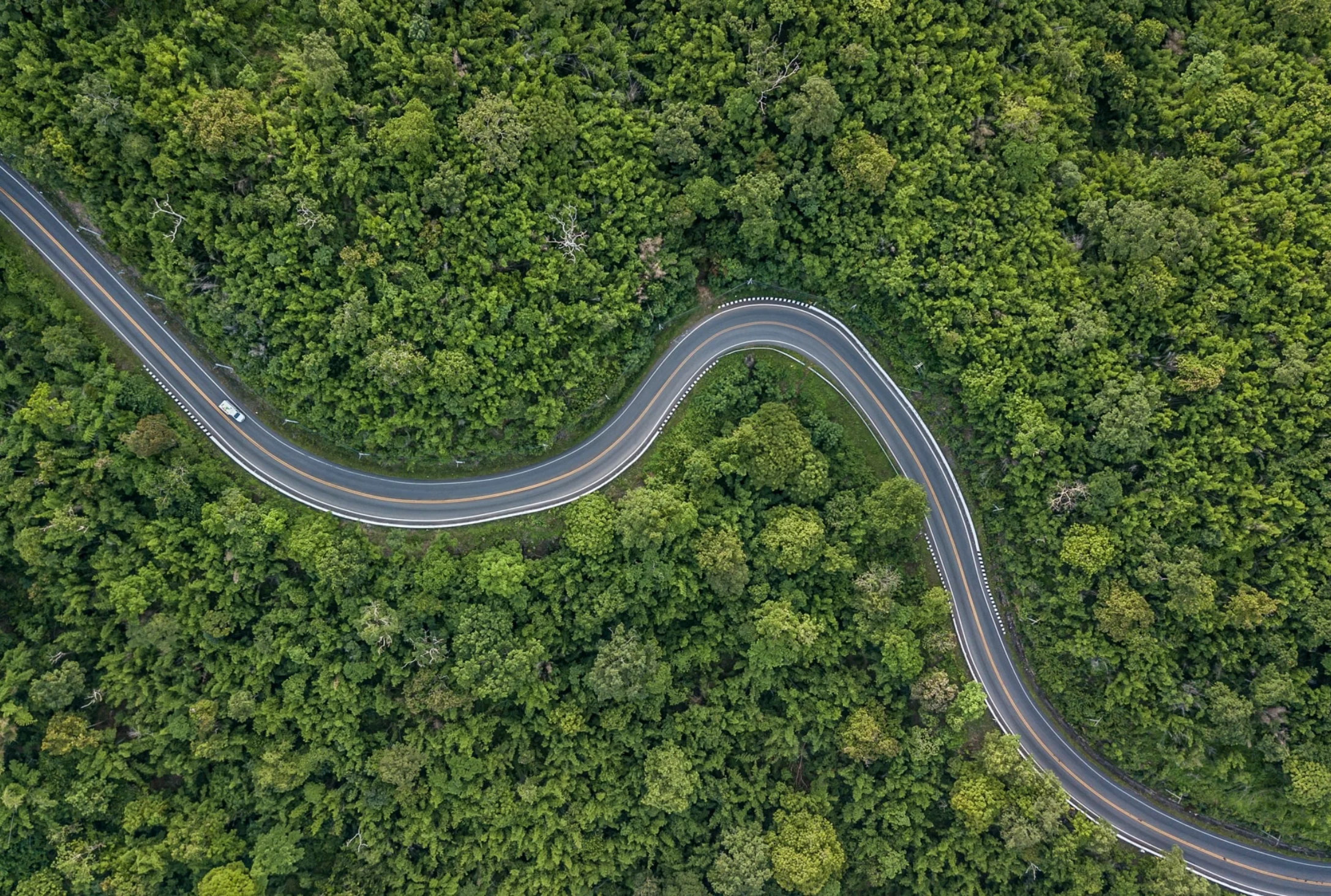 Transporte especializado